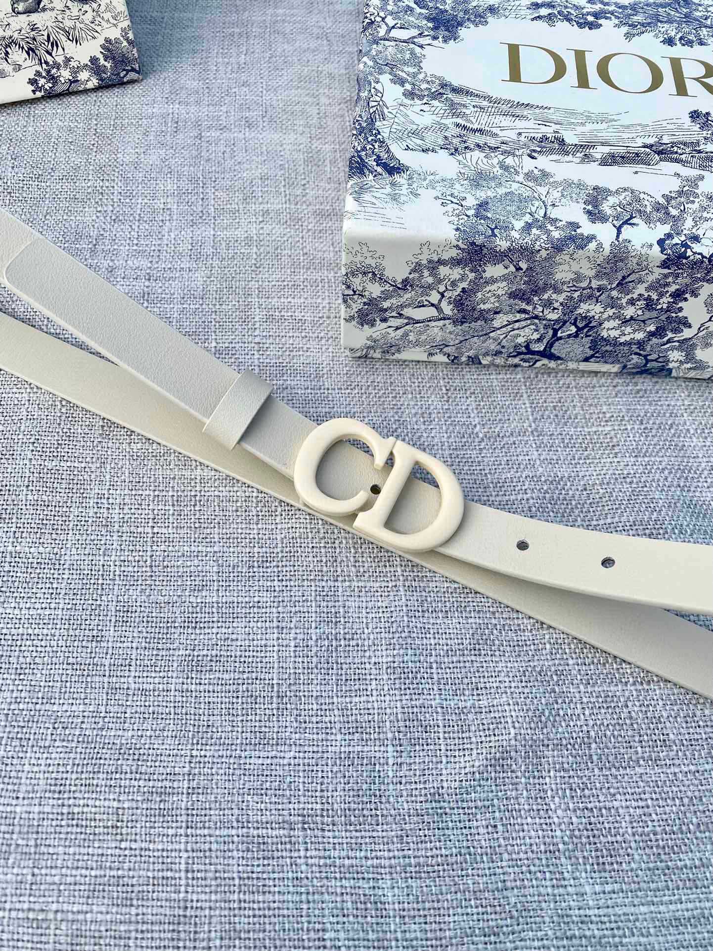 DIOR 26S BELT 20 MM IN CREAM WHITE CALFSKIN 673573