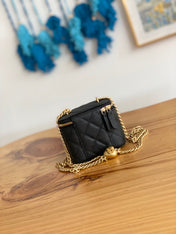 CC MINI 10 VANITY IN BLACK CALFSKIN GOLD HARDWARE