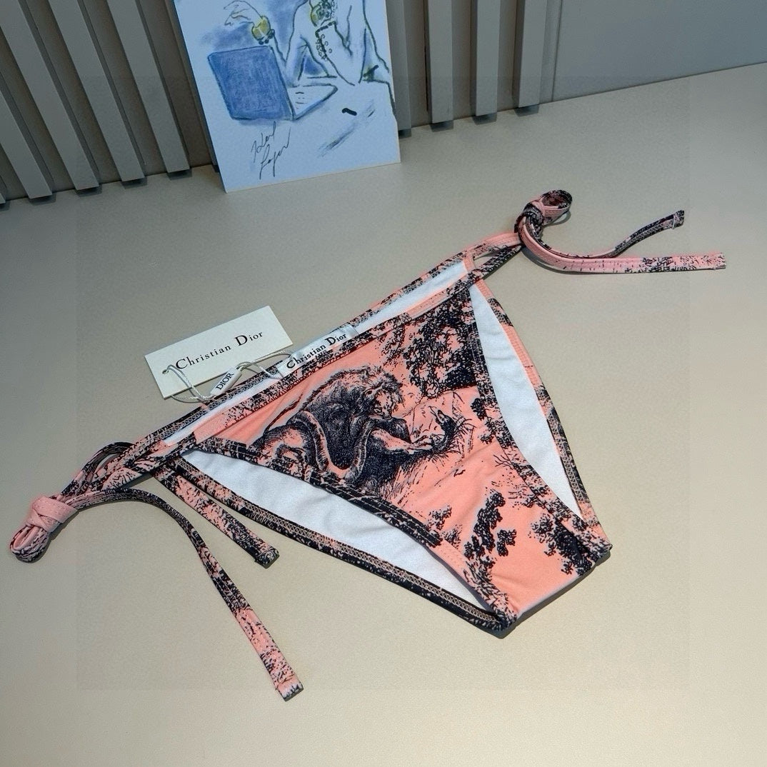 DIOR BIKINI 25S TWO PIECE IN 742647
