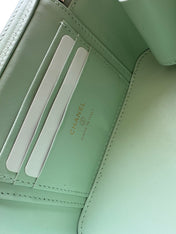 CHANEL 25S VANITY BAG 17 IN MINT GREEN CAVIAR LEATHER