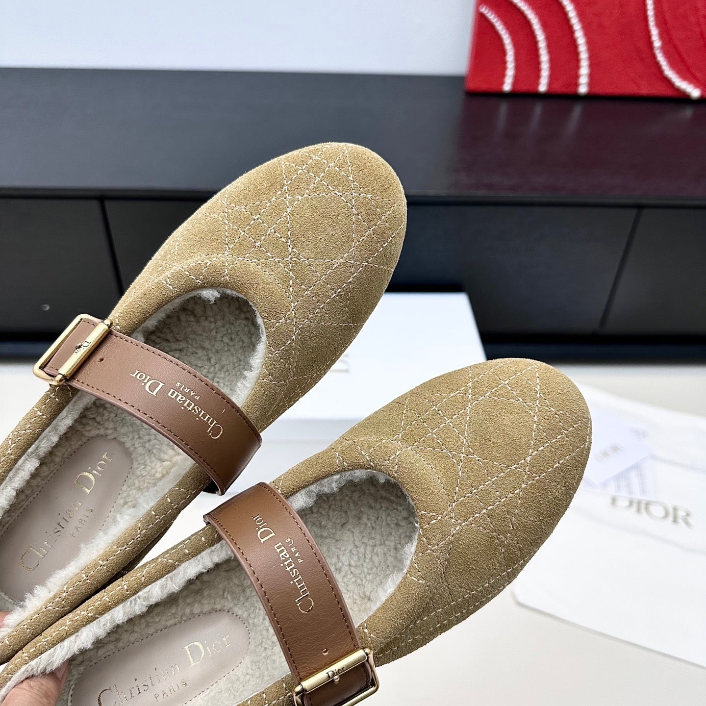 DIOR 26S FROST BALLET FLAT IN LIGHT BROWN CANNAGE SUEDE AND CALFSKIN