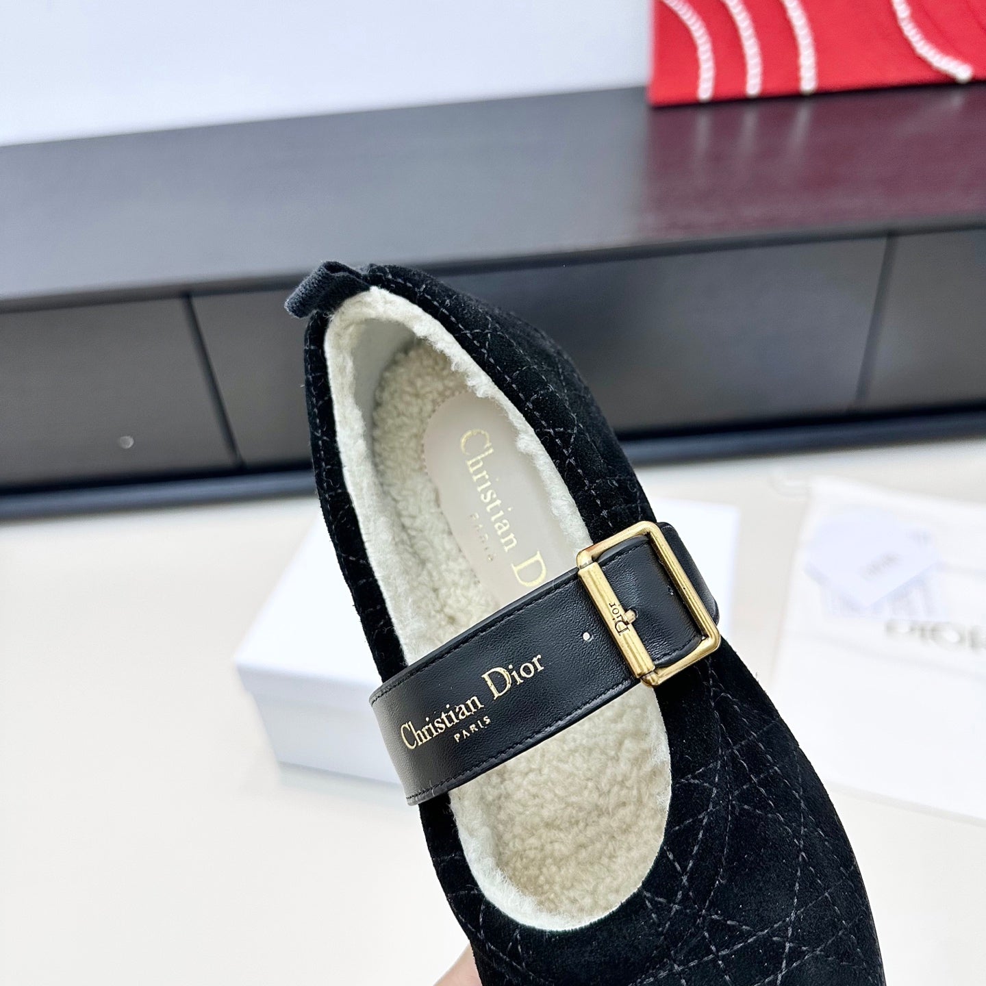 DIOR 26S FROST BALLET FLAT IN BLACK CANNAGE SUEDE AND CALFSKIN