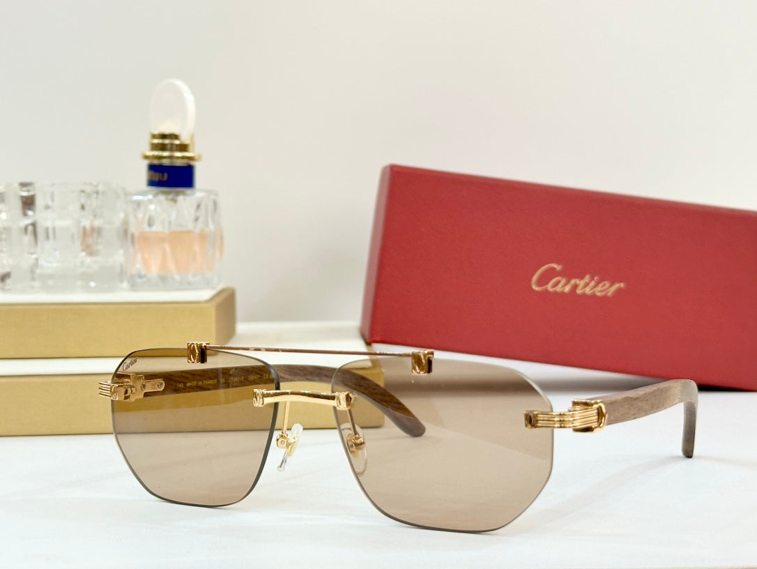 PREMIÈRE GEOMETRIC FRAME SUNGLASSES CT0621S IN METAL AND WOODEN