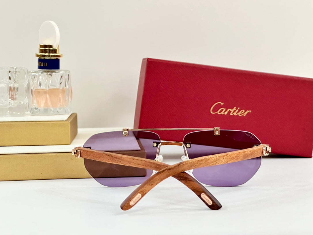 PREMIÈRE GEOMETRIC FRAME SUNGLASSES CT0621S IN METAL AND WOODEN