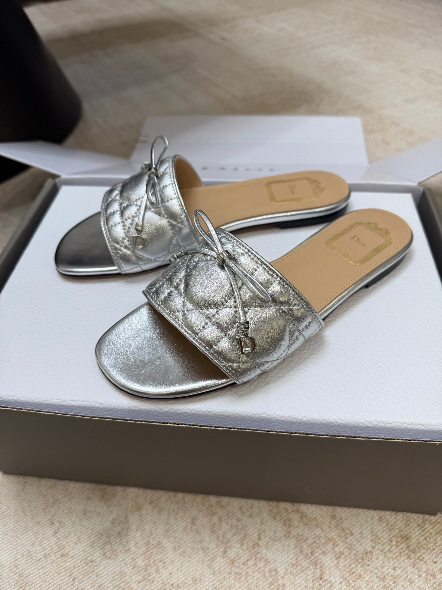 DIOR 26S DWAY CANNAGE SLIDE IN SILVER LAMBSKIN