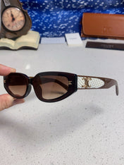 CELINE 26S OCTAGONAL FRAME IN ACETATE 429558
